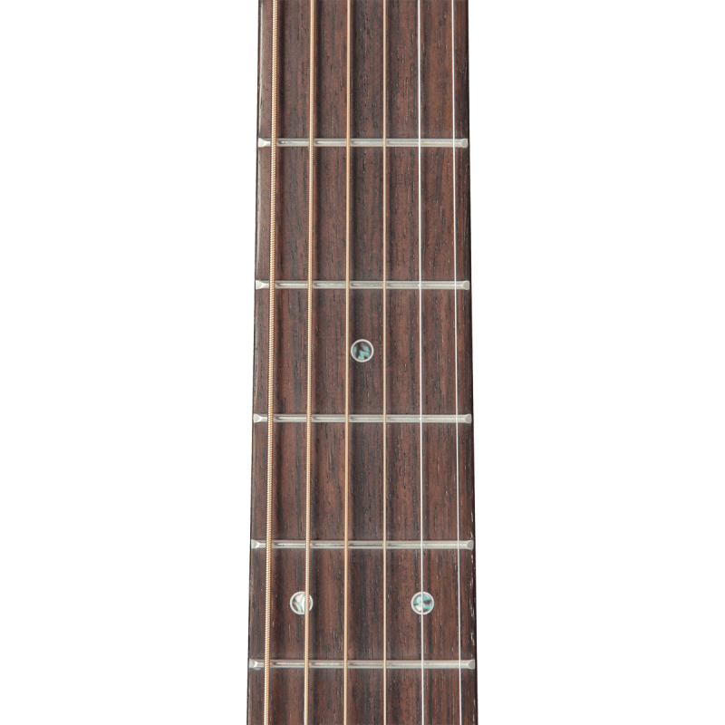 ACHAT GUITARE ELECTRO ACOUSTIQUE POITIERS