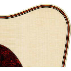 ACHAT GUITARE ELECTRO ACOUSTIQUE POITIERS