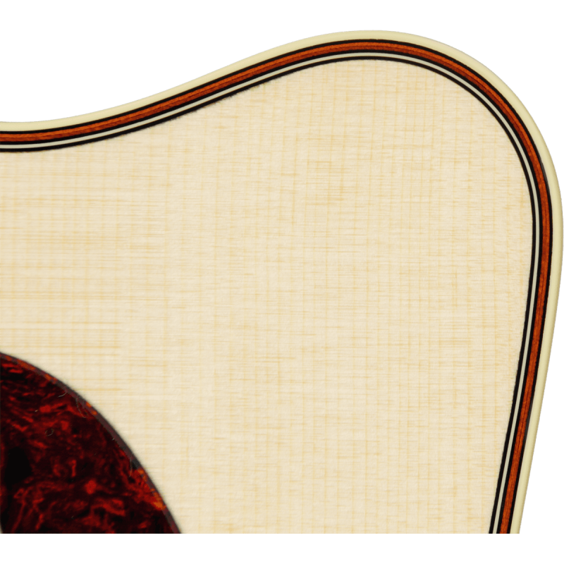 ACHAT GUITARE ELECTRO ACOUSTIQUE POITIERS
