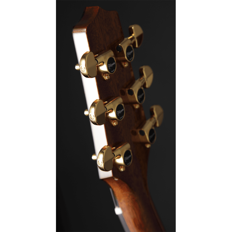 ACHAT GUITARE ELECTRO ACOUSTIQUE POITIERS