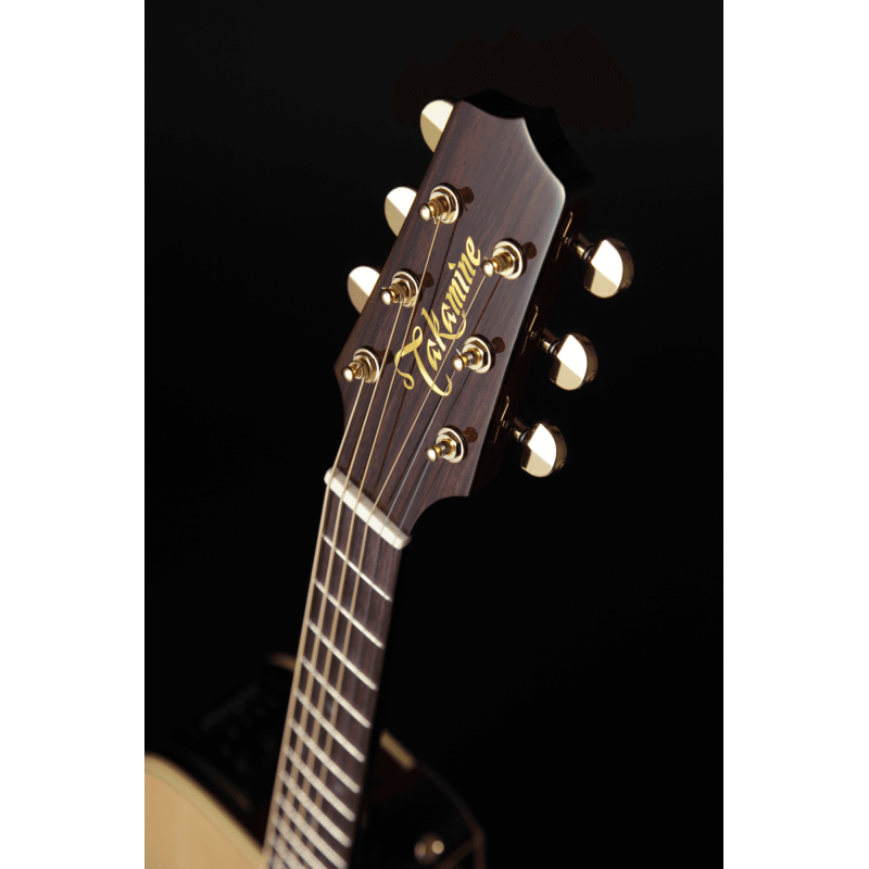 ACHAT GUITARE ELECTRO ACOUSTIQUE POITIERS