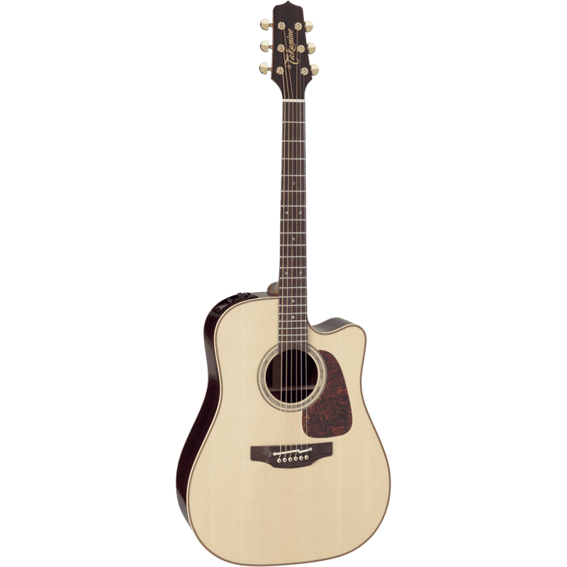 P5DC TAKAMINE NATUREL