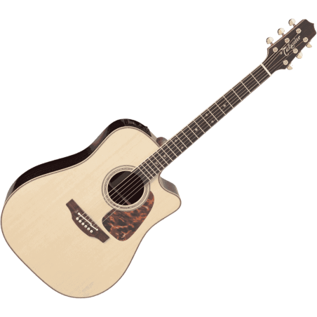 P7DC DREADNOUGHT CUTAWAY TAKAMINE