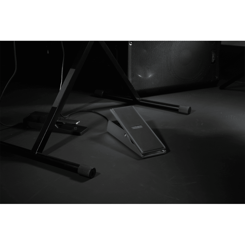 XVP-20 KORG