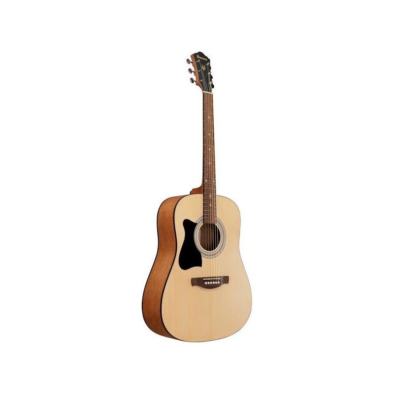 V50LNJPOPN OPEN PORE NATURAL IBANEZ sljmusic.com