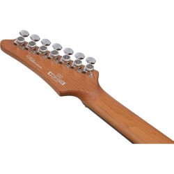 TOD70 TIM HENSON IBANEZ SLJMUSIC.COM