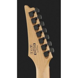 RGD7521PBDSF Deep Seafloor Fade Flat Ibanez