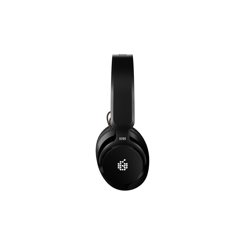 H200 Adam Audio