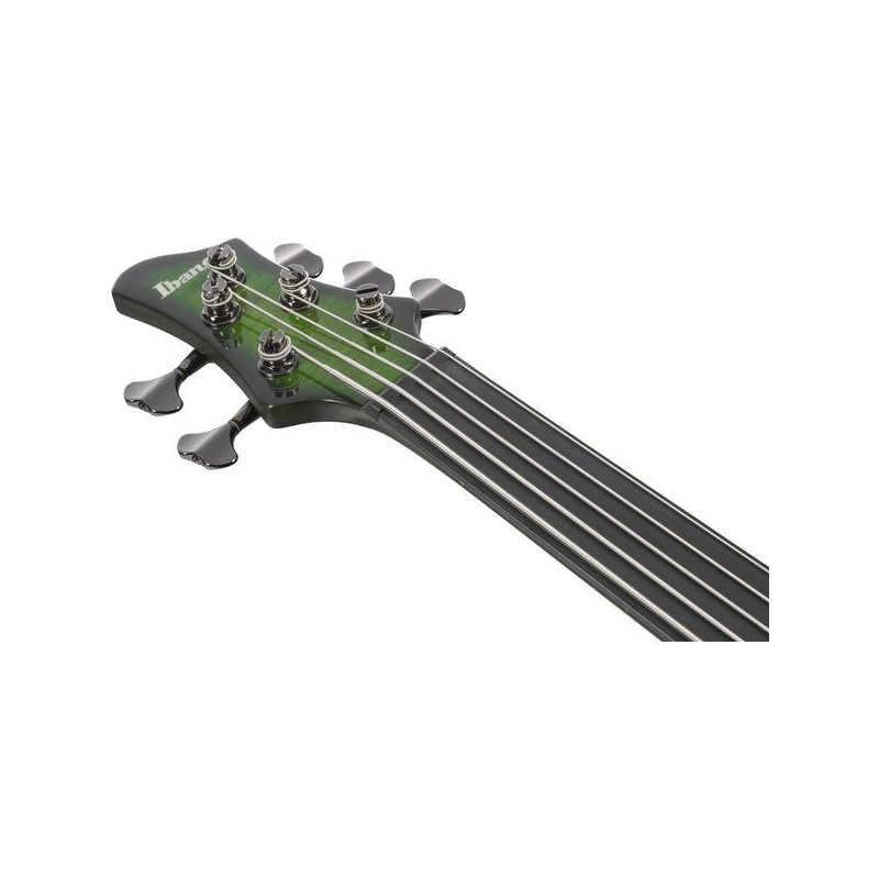 SDGB1DMT DARK MOSS BURST IBANEZ sljmusic.com