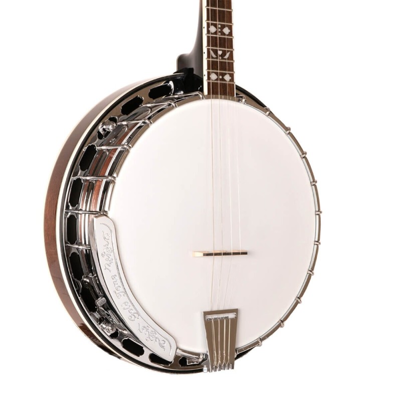 TS-250 TENOR GOLD TONE sljmusic.com