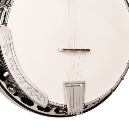 TS-250 TENOR GOLD TONE sljmusic.com