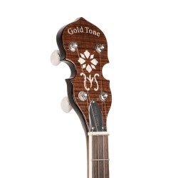 TS-250 TENOR GOLD TONE sljmusic.com