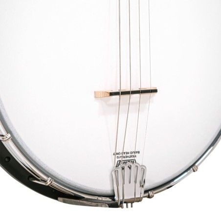 AC-4 IT IRISH GOLD TONE sljmusic.com