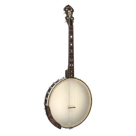 IT-17 IRISH TENOR GOLD TONE sljmusic.com