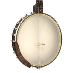 IT-17 IRISH TENOR GOLD TONE sljmusic.com
