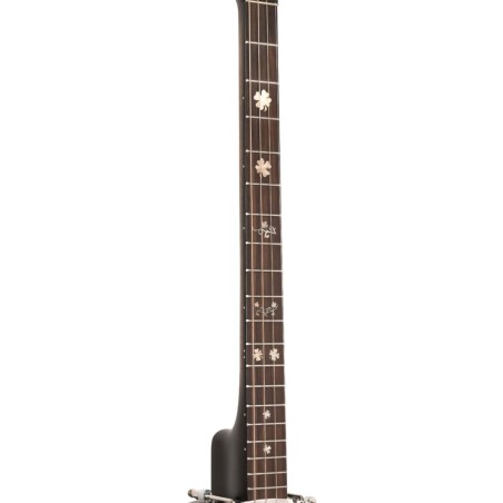 IT-19 IRISH TENOR GOLD TONE sljmusic.com