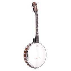 IT-250 IRISH TENOR GOLD TONE sljmusic.com