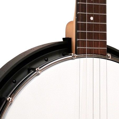 AC-5 GOLD TONE sljmusic.com