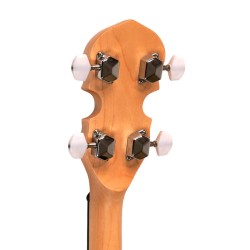 AC-5 GOLD TONE sljmusic.com