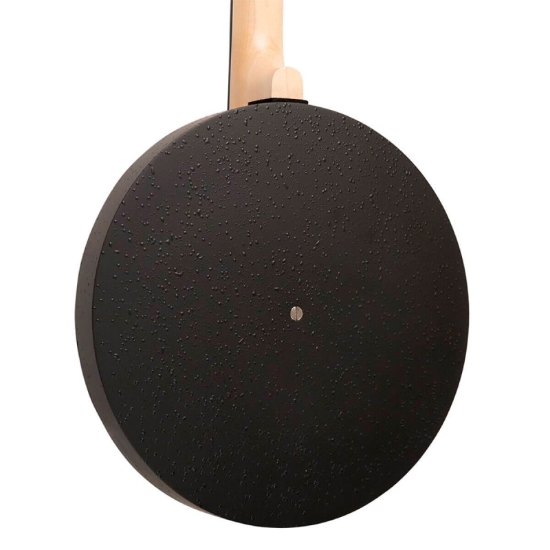 AC-5 GOLD TONE sljmusic.com