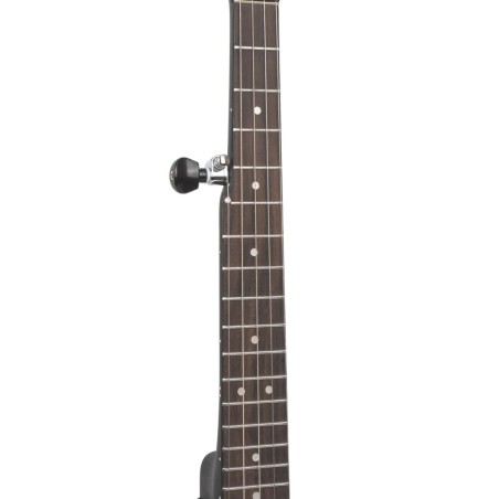 AC-MINI GOLD TONE sljmusic.com