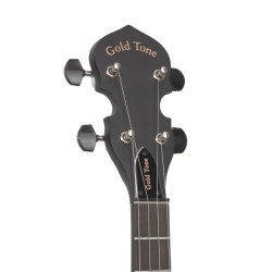 AC-MINI GOLD TONE sljmusic.com