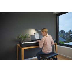 ES60 KAWAI SLJMUSIC.COM