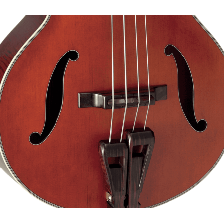 DB10 TAKAMINE