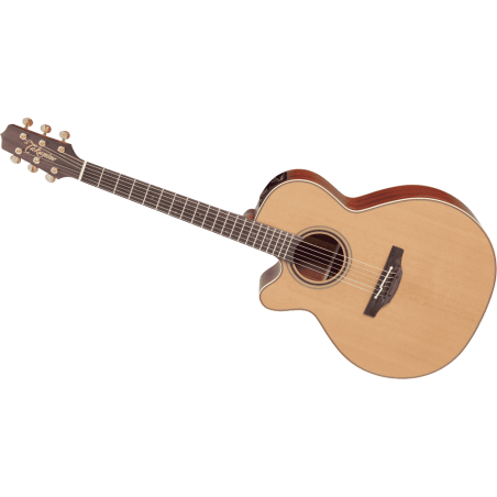 P3FCN TAKAMINE