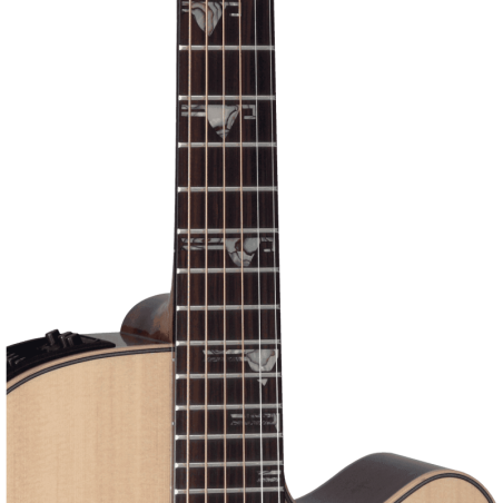 GTV TF77-PT TAKAMINE