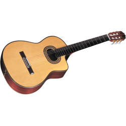 GTV TSF48C TAKAMINE