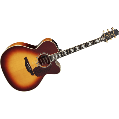 GTV LTD200 TAKAMINE