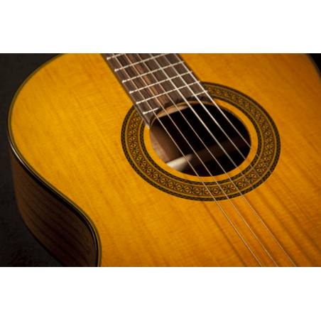 GTV EF250TK TAKAMINE