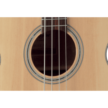 GTV TH5C TAKAMINE