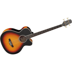 GTA GB30CEBLKLH TAKAMINE