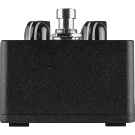 SCR-DI AMPEG
