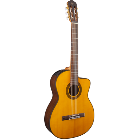 achat guitare classique takamine poitiers