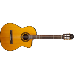 achat guitare classique takamine poitiers