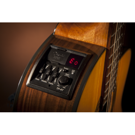 achat guitare classique takamine poitiers