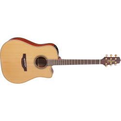 P3DC TAKAMINE