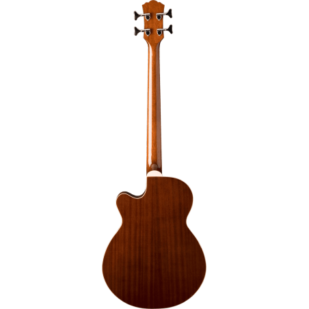  AB5 WASHBURN