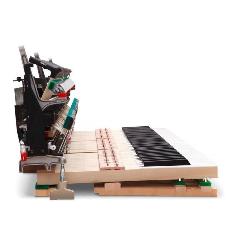 NV10 NOVUS KAWAI
