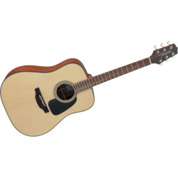 GD10NS TAKAMINE naturel