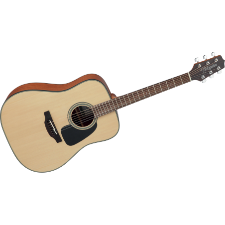 GD10NS TAKAMINE naturel