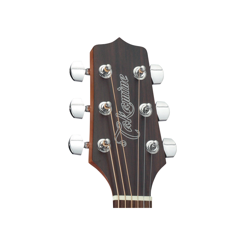 GD10NS TAKAMINE naturel