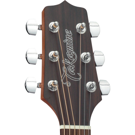 GD10NS TAKAMINE naturel