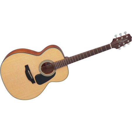 GN10NS TAKAMINE naturel