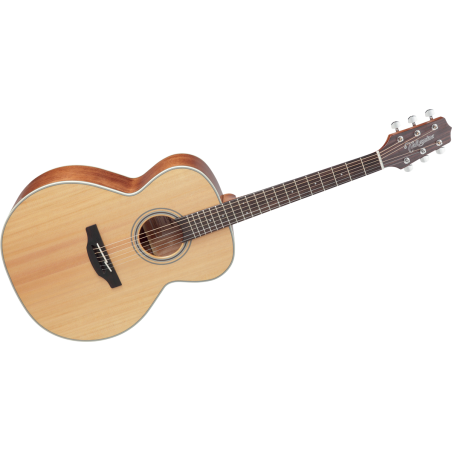 GN20NS TAKAMINE