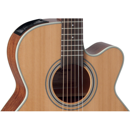 GN20CENS TAKAMINE naturel satiné