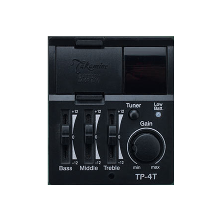 GN30CENAT TAKAMINE naturel brillante